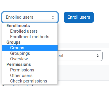 Creating Course Groups in Engage