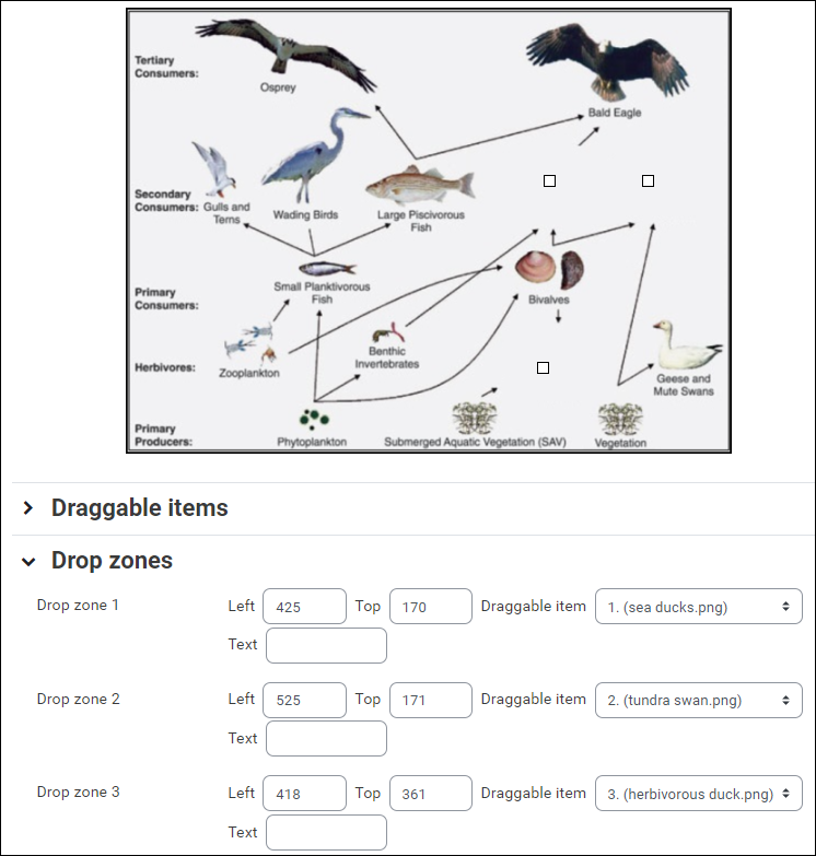 Drag and Drop onto Image Question Type